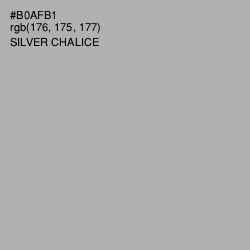 #B0AFB1 - Silver Chalice Color Image